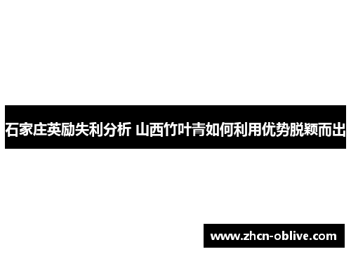 石家庄英励失利分析 山西竹叶青如何利用优势脱颖而出