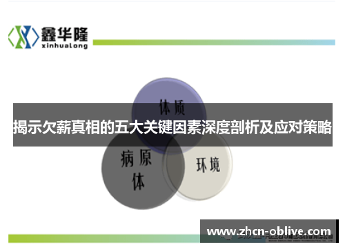 揭示欠薪真相的五大关键因素深度剖析及应对策略