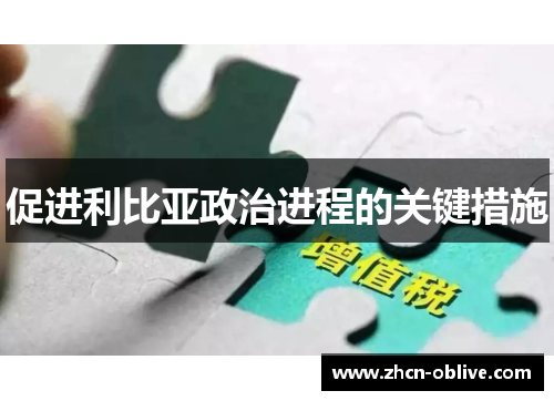 促进利比亚政治进程的关键措施